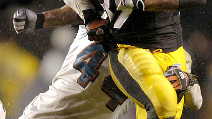 Willie Parker will not wear rubber arm sleeves Sunday against the Patriots because a fan asked him not to. (vs. Bengals 12/03/2007)