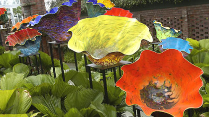 "Chihuly at Phipps" brought The Macchia Forest, surrounded by ruffled fan palms and Swiss cheese plants, to Phipps' Sunken Garden.
