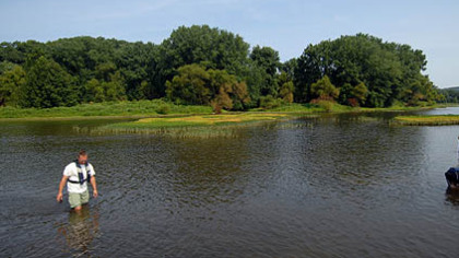 Team members Eric Chapman, Tamara Smith and Jake Winkler wade around Cogleys Island searching for freshwater mussels.