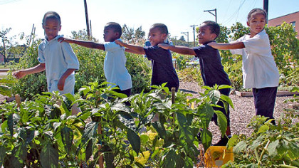 First graders at Helen Faison Arts Academy in Homewood take a tour of their school's garden yesterday.